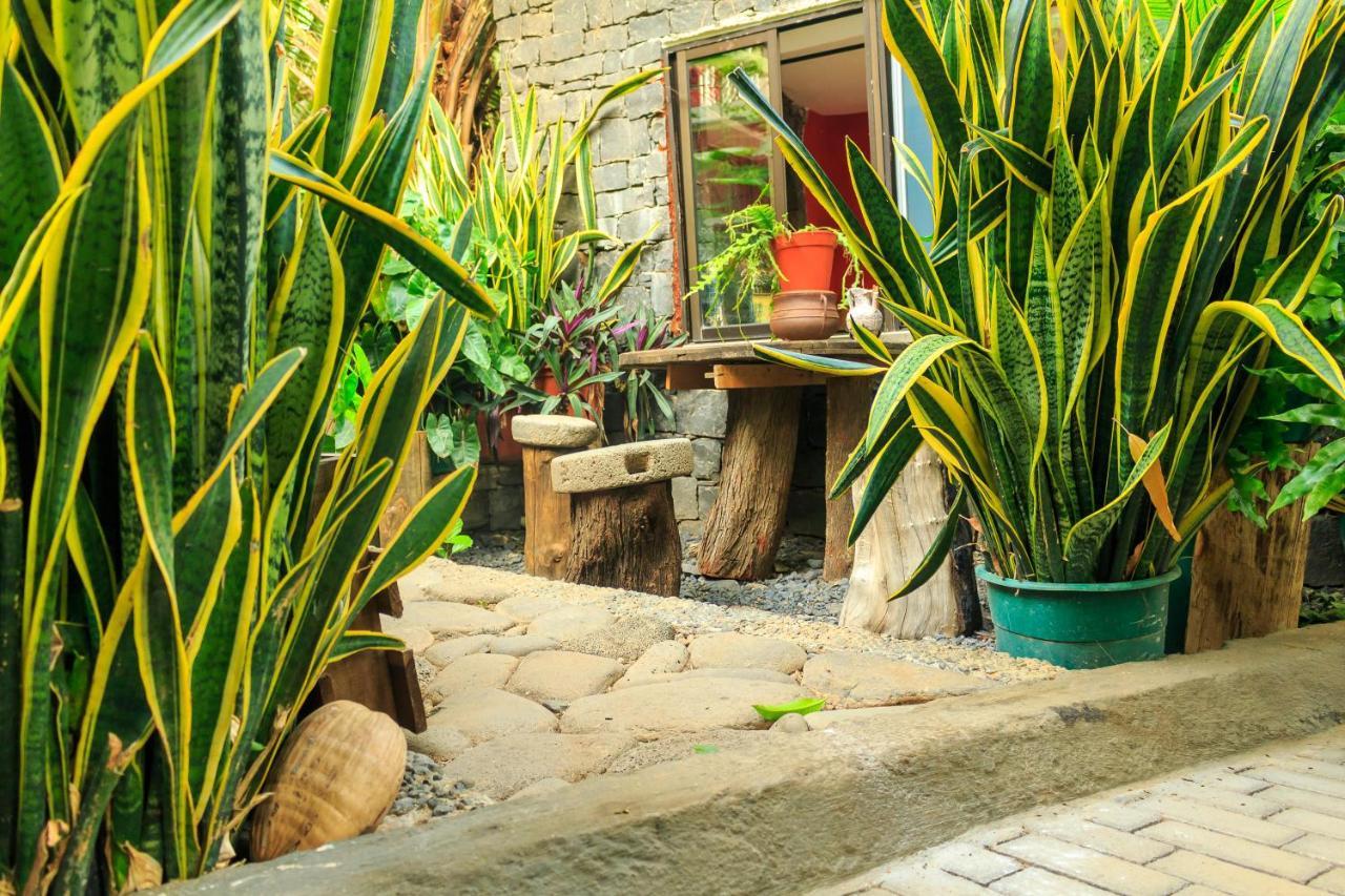 Pousada Quinta Ribeirinha Cidade Velha Exterior foto